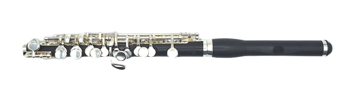 Karlin KP801 Piccolo Composito